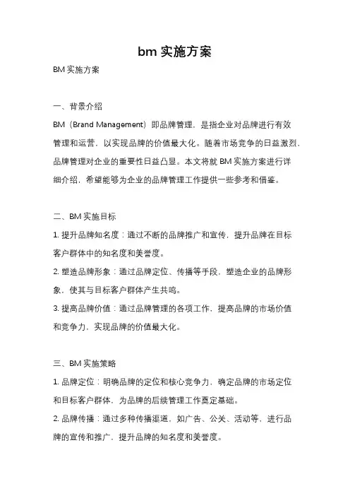 bm实施方案