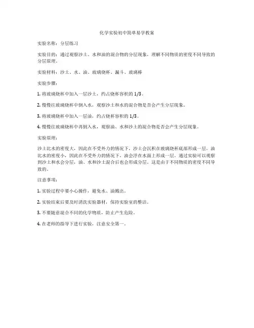 化学实验初中简单易学教案