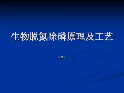 生物脱氮除磷原理及工艺 