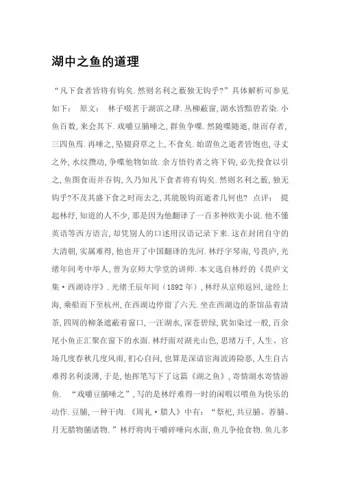 湖中之鱼的道理