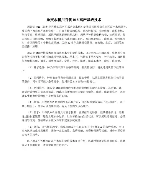 杂交水稻川谷优918高产栽培技术