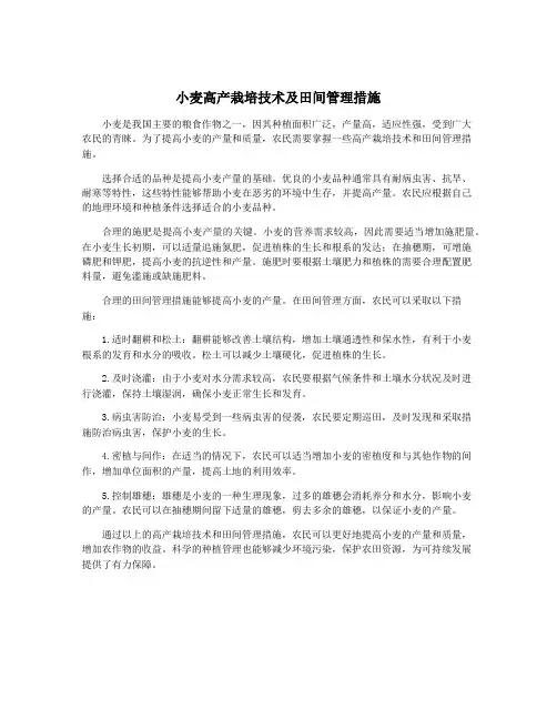 小麦高产栽培技术及田间管理措施