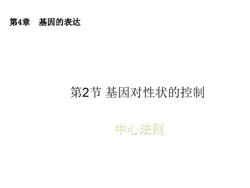 高二生物中心法则(中学课件201911)