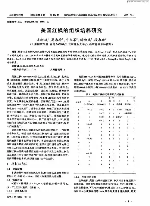 美国红枫的组织培养研究