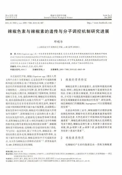 辣椒色素与辣椒素的遗传与分子调控机制研究进展