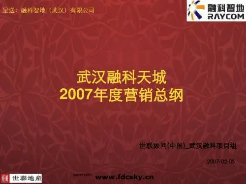世联顾问武汉融科天城,年度营销总纲