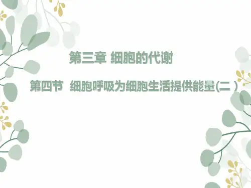 浙科版(2019)必修一  3-4 细胞呼吸为细胞生活提供能量   课件(37张)