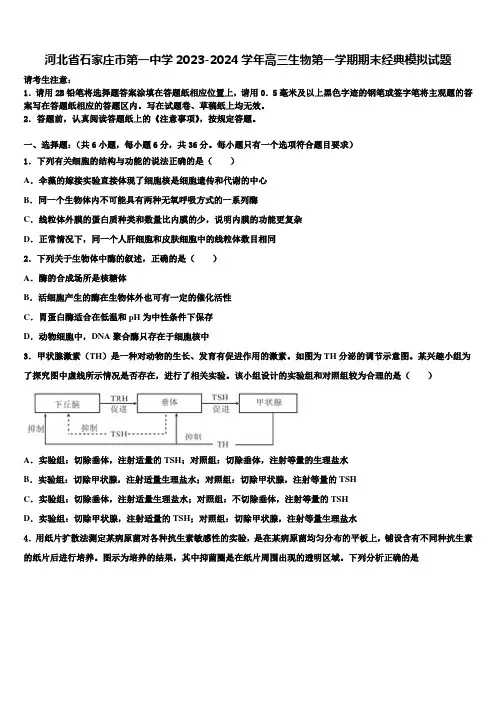 河北省石家庄市第一中学2023-2024学年高三生物第一学期期末经典模拟试题含解析