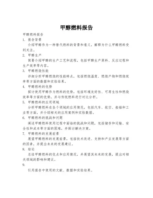 甲醇燃料报告 pdf