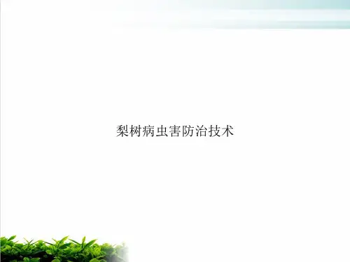 梨树病虫害防治技术PPT课件