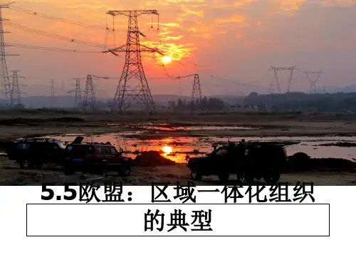 最新5.5欧盟：区域一体化组织的典型教学讲义ppt