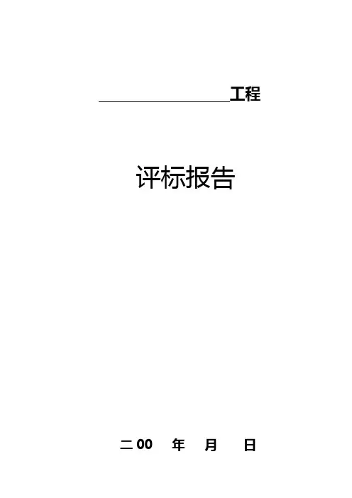 评标报告范本