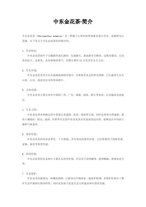 中东金花茶-简介