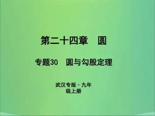 (武汉专版)2019九年级数学上册第二十四章圆专题30圆与勾股定理新人教版