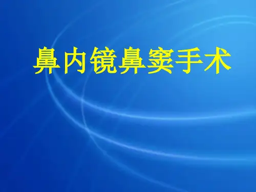 鼻内镜鼻窦手术PPT课件