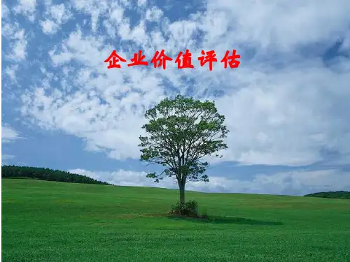 教学课件：《企业价值评估》