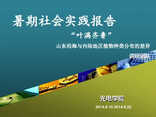 社会实践团队答辩PPT(模板)
