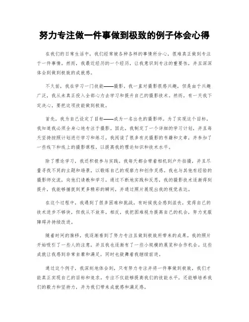 努力专注做一件事做到极致的例子体会心得