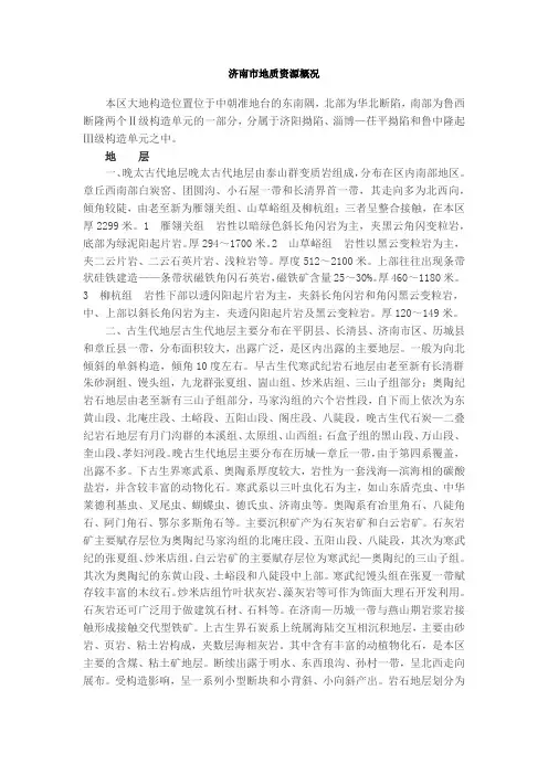 济南市地质资源概况