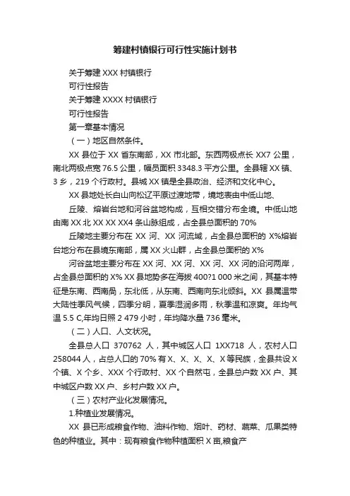 筹建村镇银行可行性实施计划书