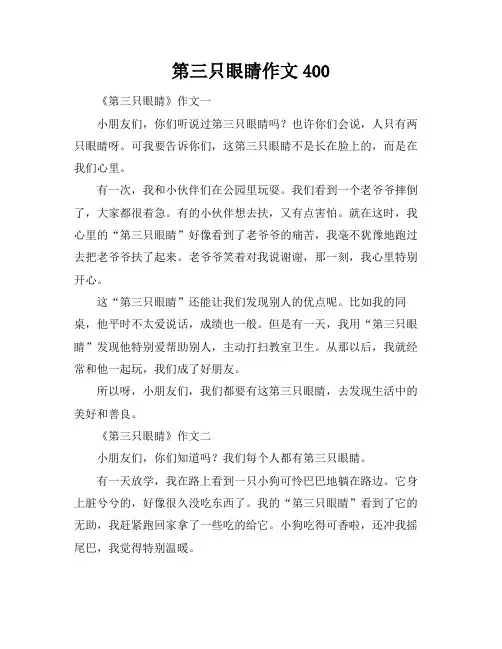 第三只眼睛作文400