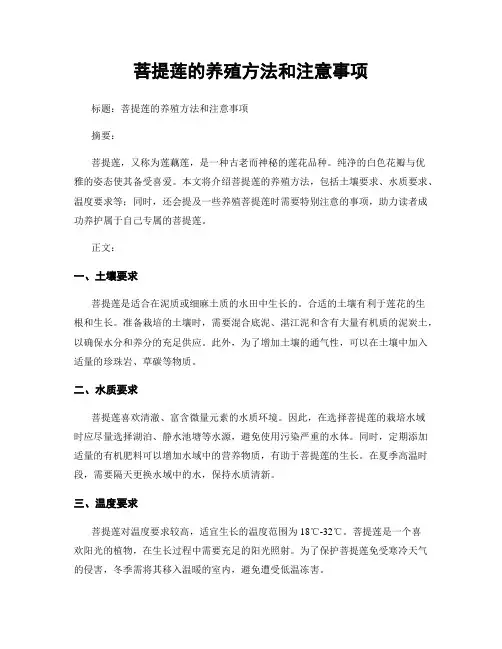 菩提莲的养殖方法和注意事项
