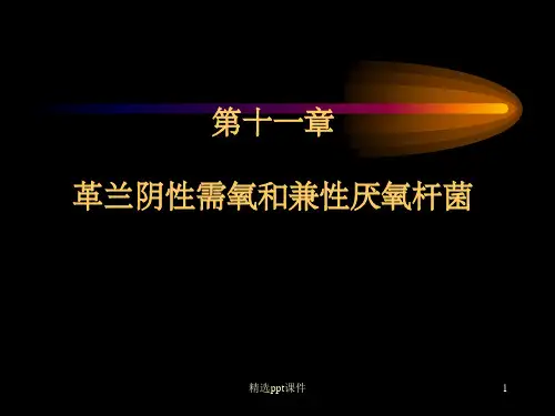 《肠杆菌科概述》PPT课件