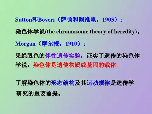 遗传的染色体基础