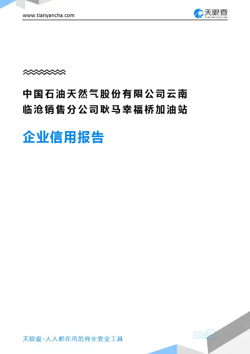 中国石油天然气股份有限公司云南临沧销售分公司耿马幸福桥加油站企业信用报告-天眼查