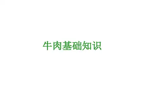 牛肉知识简介