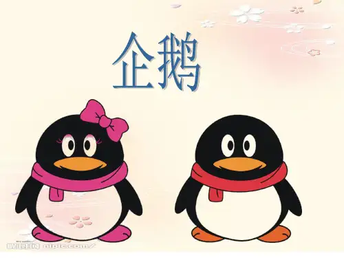 科学演讲企鹅ppt课件 (2)