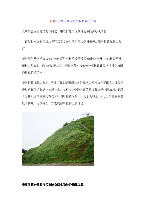 边坡防护绿化工程实例