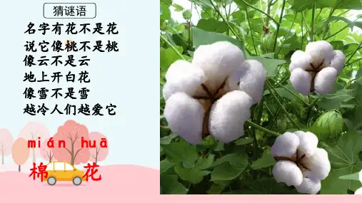 18 棉花姑娘课件(共45张PPT).ppt