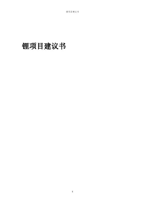 2024年锂项目建议书