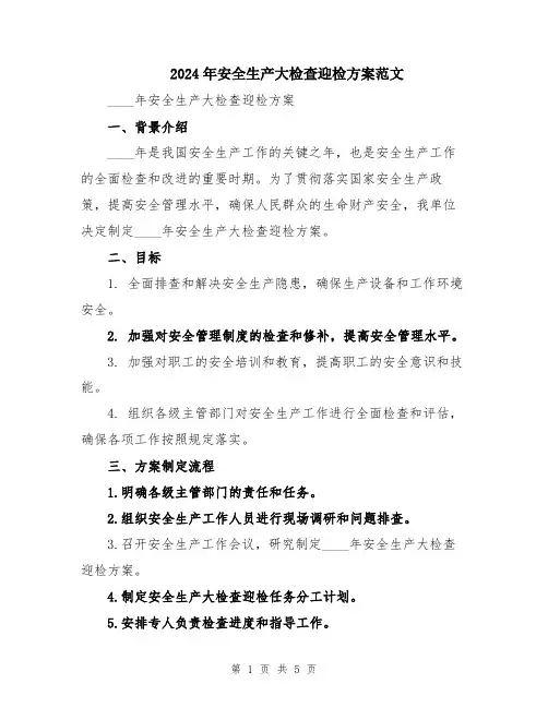 2024年安全生产大检查迎检方案范文