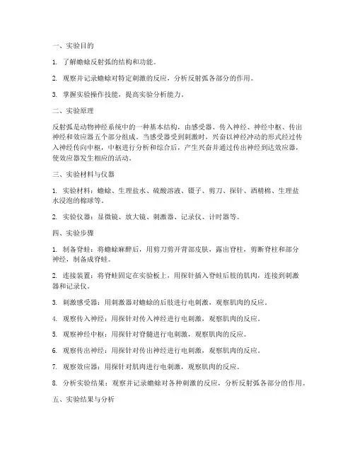 蟾蜍反射弧实验报告