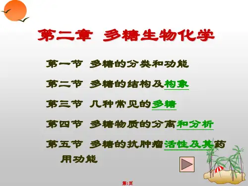 第二章 多糖生物化学 PPT课件