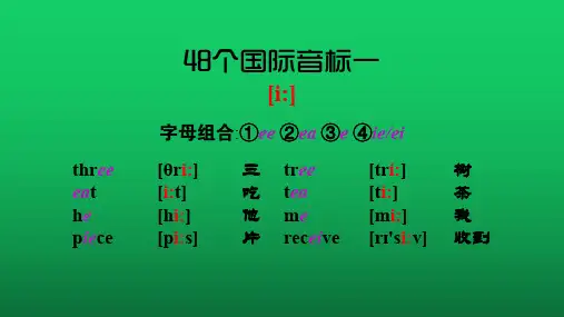 48国际音标+自然拼读 PDF