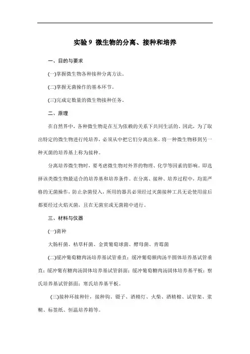 实验9 微生物的分离、接种和培养
