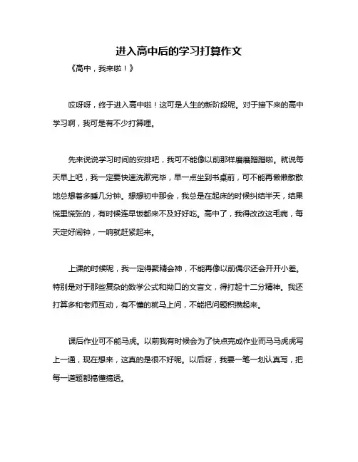 进入高中后的学习打算作文