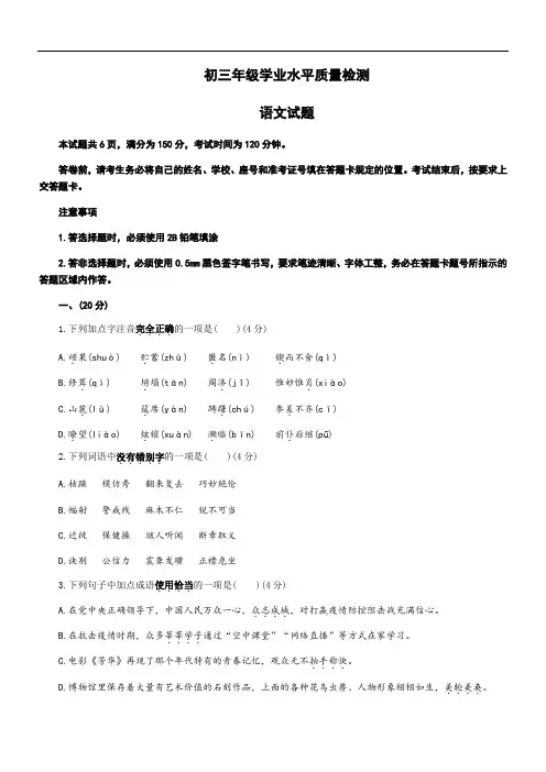 九年级中考一模语文模拟试题