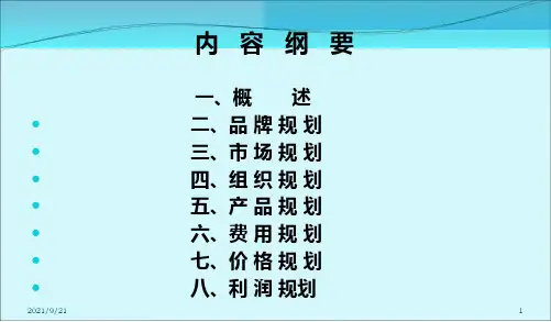 白酒新产品市场规划案PPT34页