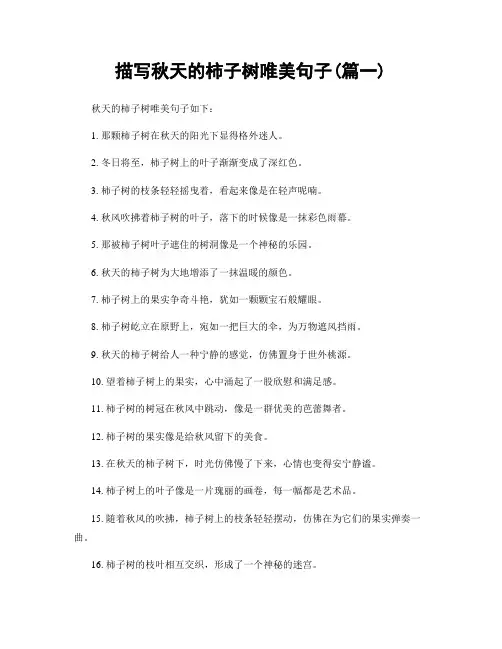 描写秋天的柿子树唯美句子(精选2篇)