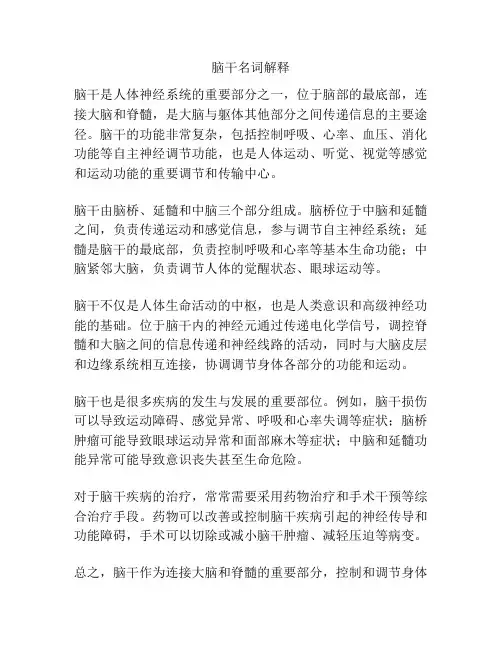 脑干名词解释