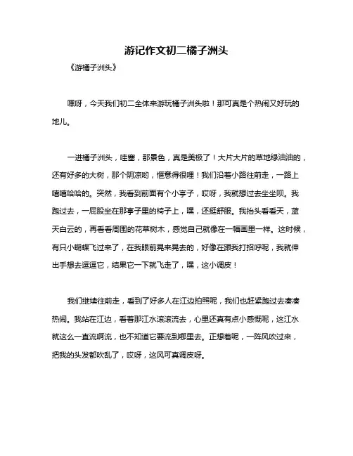 游记作文初二橘子洲头