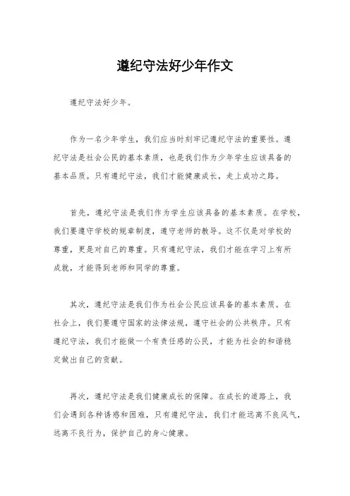 遵纪守法好少年作文
