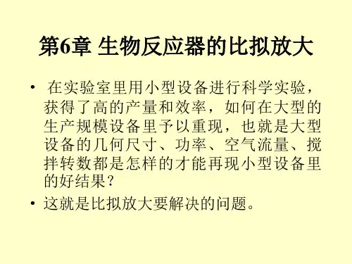 第六章 生化反应器的比拟放大