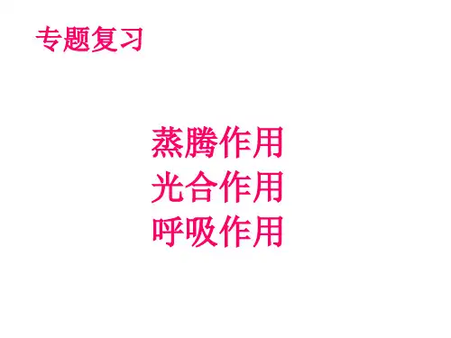 【初中生物】蒸腾作用、光合作用和呼吸作用PPT课件