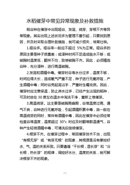 水稻催芽中常见异常现象及补救措施