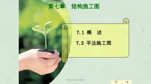 梁柱的平法施工图精讲课件